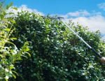 Zipper Gartenpflege-Set ZI-GPS252 – Bild 9