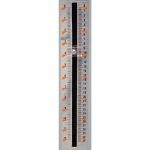 Holzmann Zylinderschleifmaschine ZS970P_400V -6