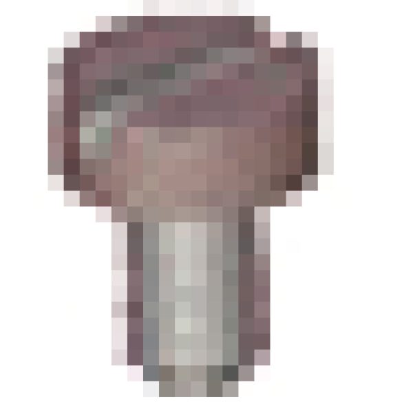 Schweisskraft Schraube Anschlussmutter -1