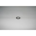 Elmag PA-Dichtring für 1/4' AG -1