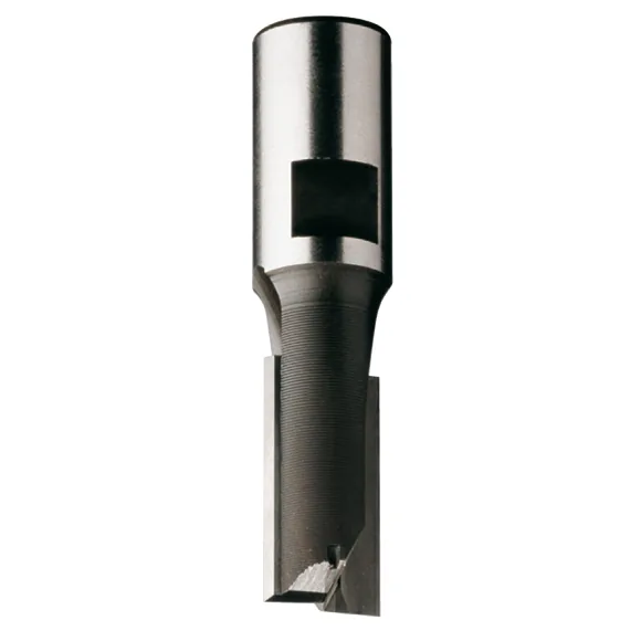 CMT C173 Nutfräser für Oberfräsen und Bohrmaschinen - D25x25 L52 S=10 HW -1