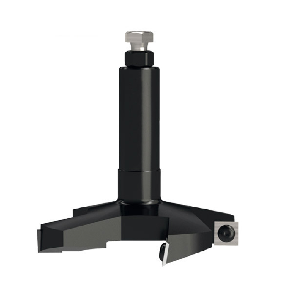 Ausstechfräser für Flächen HW - D100x12 L90 S=20x50 Z4-1 Ausstechfräser für Flächen HW - D100x12 L90 S=20x50 Z4 -1