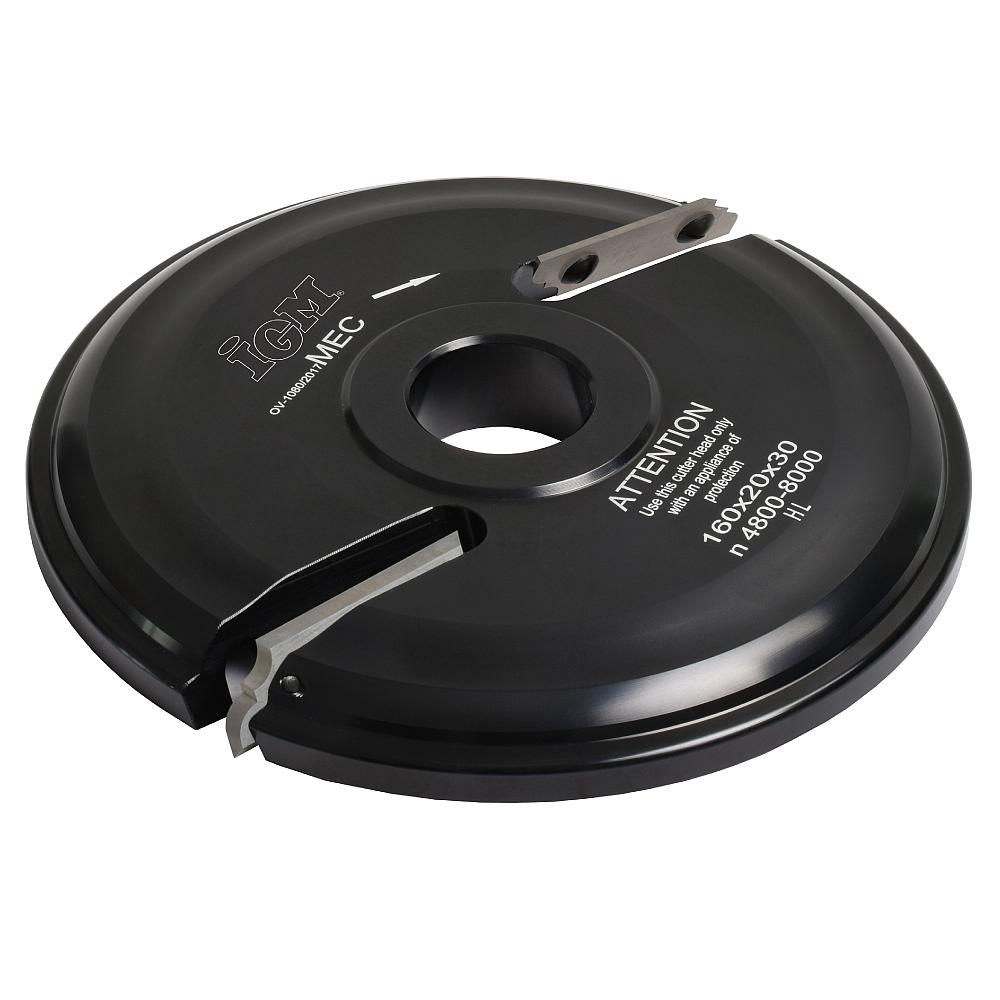 F631 Abplattfräser MEC - Profil A, D160x20 d30mm Z2 oben ALU-1 F631 Abplattfräser MEC - Profil A, D160x20 d30mm Z2 oben ALU -1