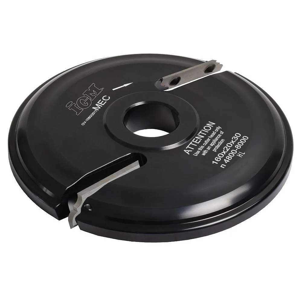 F631 Abplattfräser MEC - Profil A, D160x20 d30mm Z2 oben ALU-1 F631 Abplattfräser MEC - Profil A, D160x20 d30mm Z2 oben ALU -1