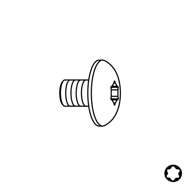 Schraube - M4x6 D9 Torx15 -1