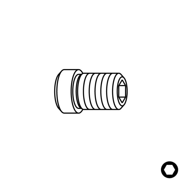 Schraube TCEI Guide - M5x6x9 D6 -1