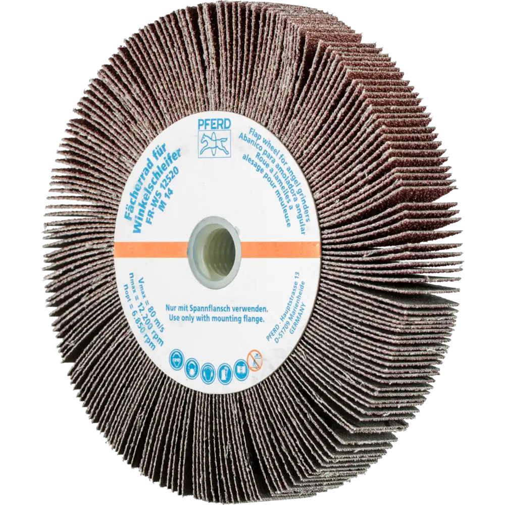 Pferd Tools PFERD TOOLS Lamellenschleifrad für Winkelschleifer FR WS Ø 125x20mm M14 A60 universelle Anwendung-1 Product picture Primär-Darstellung