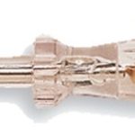 main HighRes image
