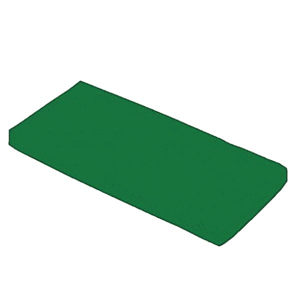 Cleancraft Scheuer-Pad 20“/51 x 36 cm grün -1