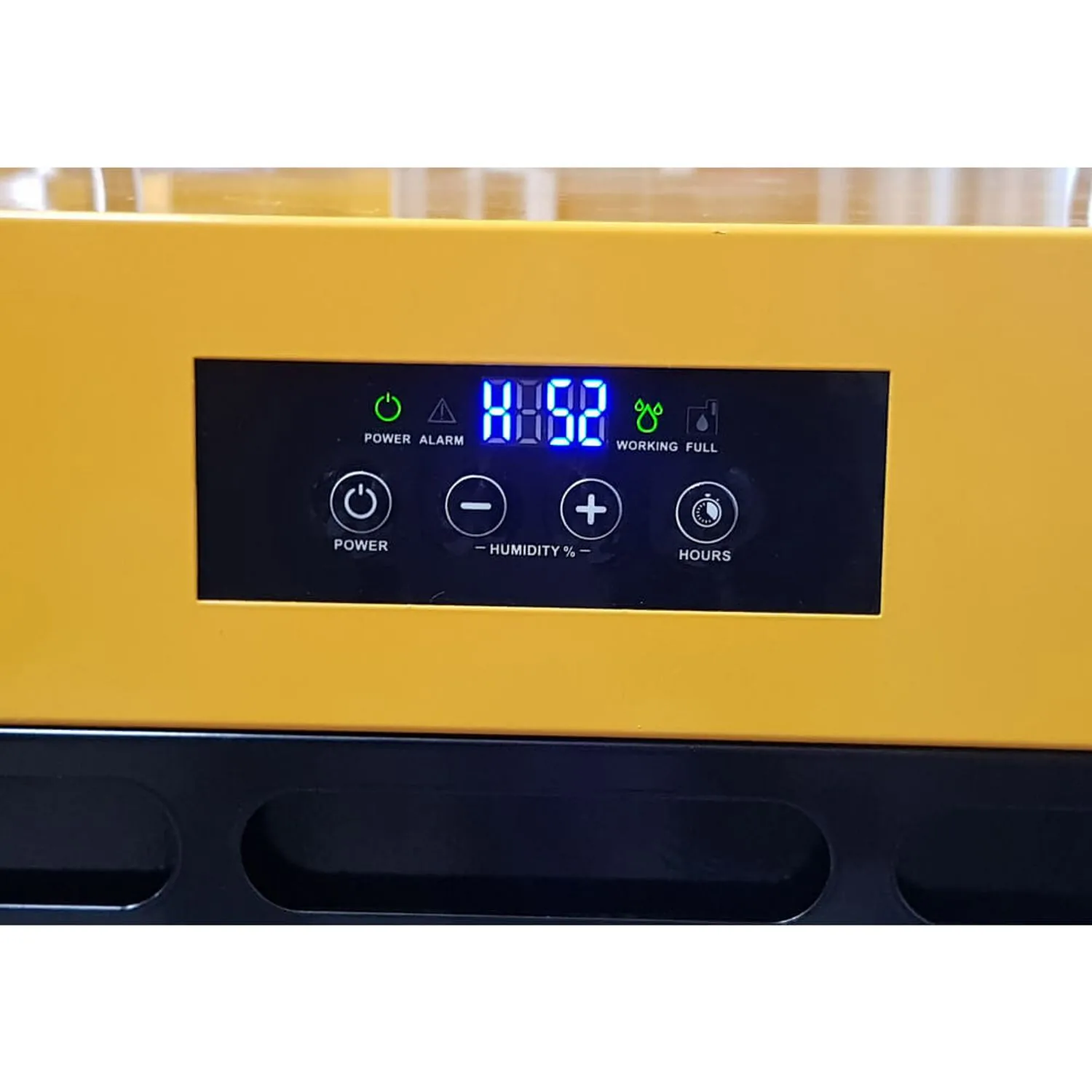 Master Kondensations-Luftentfeuchter DH 62-2
