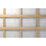 fischer Nageldübel N 5x50/25 F (100)-3