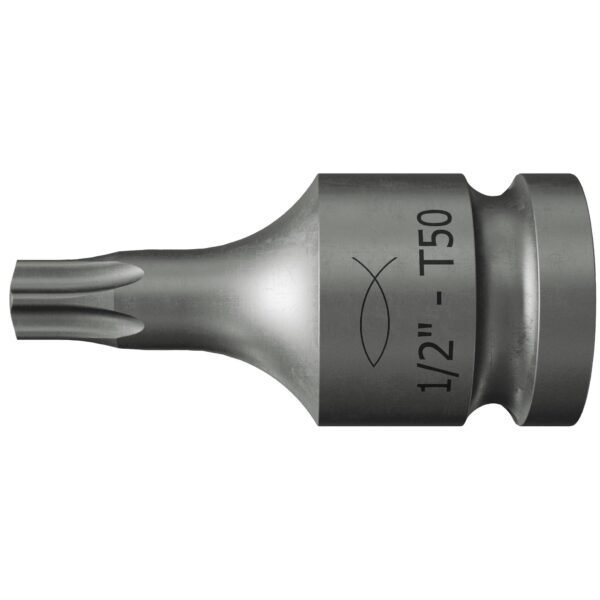fischer Stecknuss 1/2" - TX 50-1