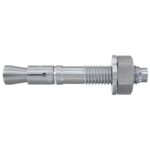 fischer Bolzenanker FBN II 8/10 K-1