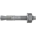 fischer Bolzenanker FBN II 12/5 K HDG-1