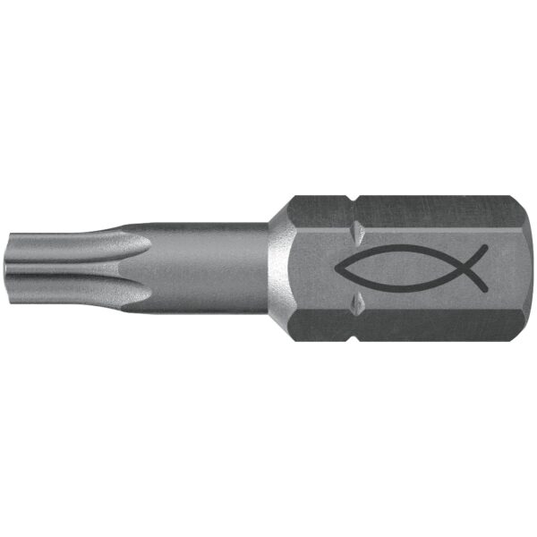 fischer Profi Bit FPB T 30 (10)-1