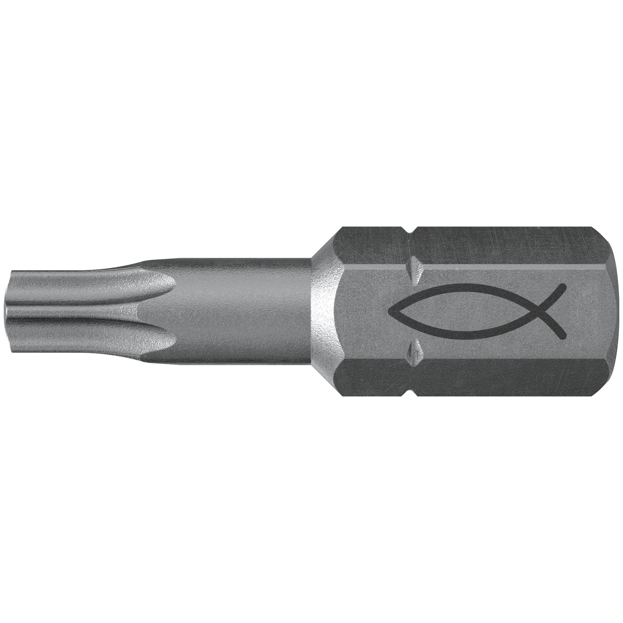 fischer Profi Bit FPB T 30 (10)-1 fischer Profi Bit FPB T 30 (10)-1