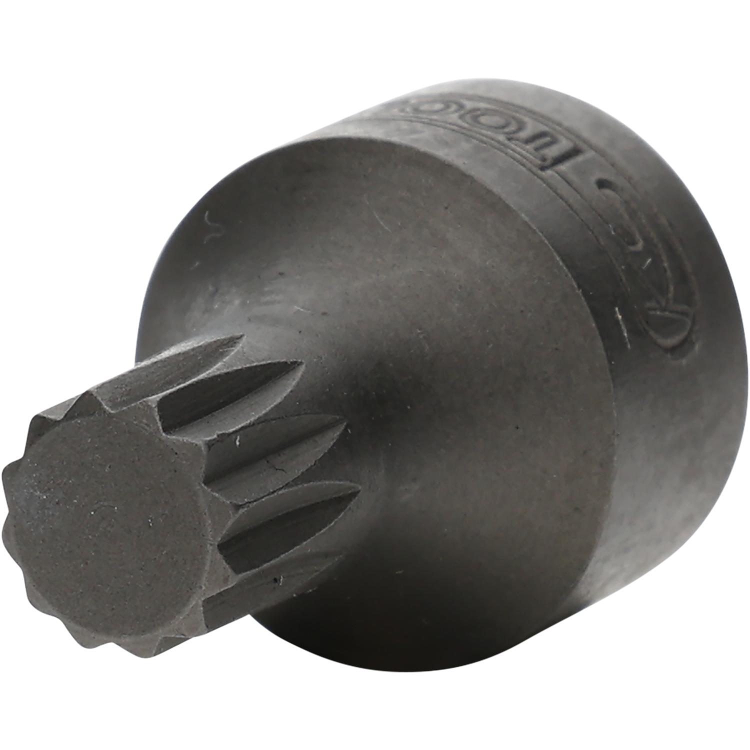 KS Tools 1/4" Bit-Stecknuss XZN, M7, extra kurz-1 Hauptbild